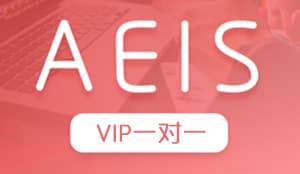 AEIS  VIP一对一强化
