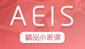 AEIS  小班基础