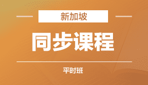新加坡同步课程  平时班
