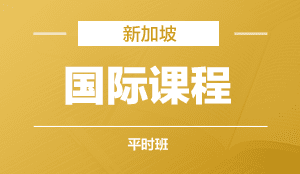 新加坡国际课程  平时班