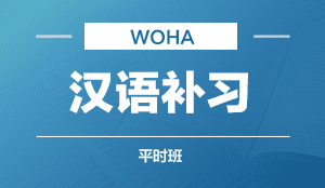 汉语补习  平时班