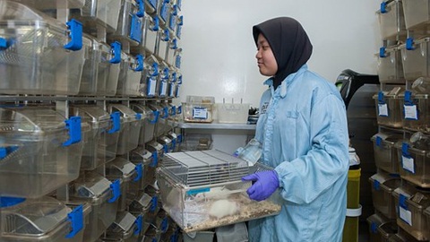 ALevel阅读中的长难句如何应对？