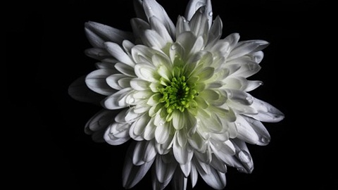 SSAT写作步骤如何控制时间