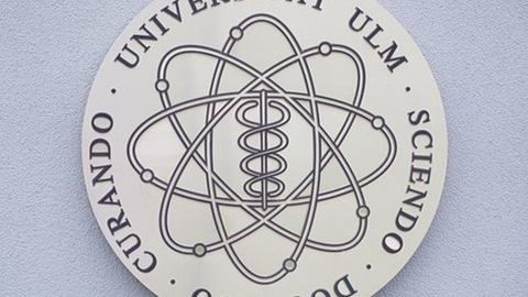 AEAS考试基础——使役动词知识点 AEAS考试基础——使役动词知识点