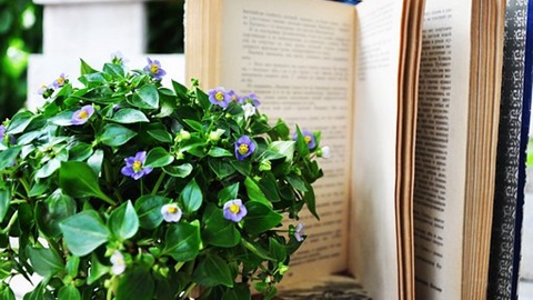 Ukiset阅读解题方法分析