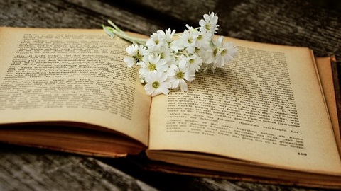 托福阅读考试中的一些特殊题型