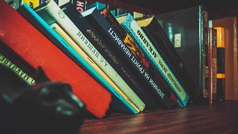 SSAT考试词汇题解析