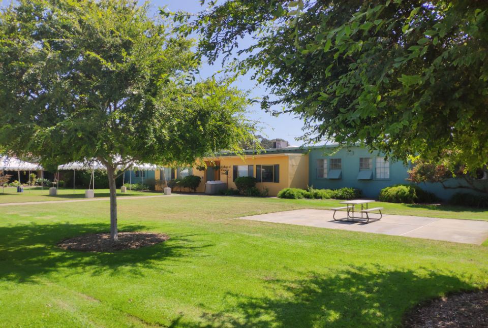 ALevel生物知识体系整理