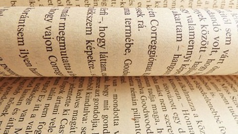 Ukiset数学考试中的三类陷阱题