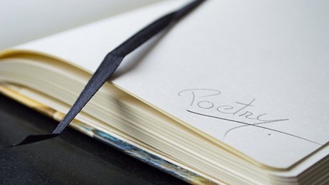 IB考试预科的六个基本学科！