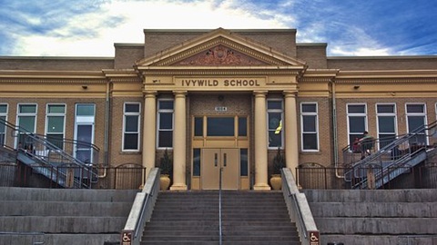 IB中文课程的学习内容