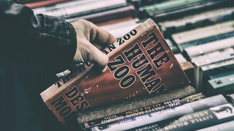 SSAT阅读考试重难点句型分析