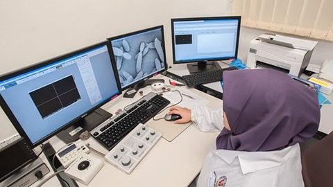 SSAT考试备考常见问题汇总